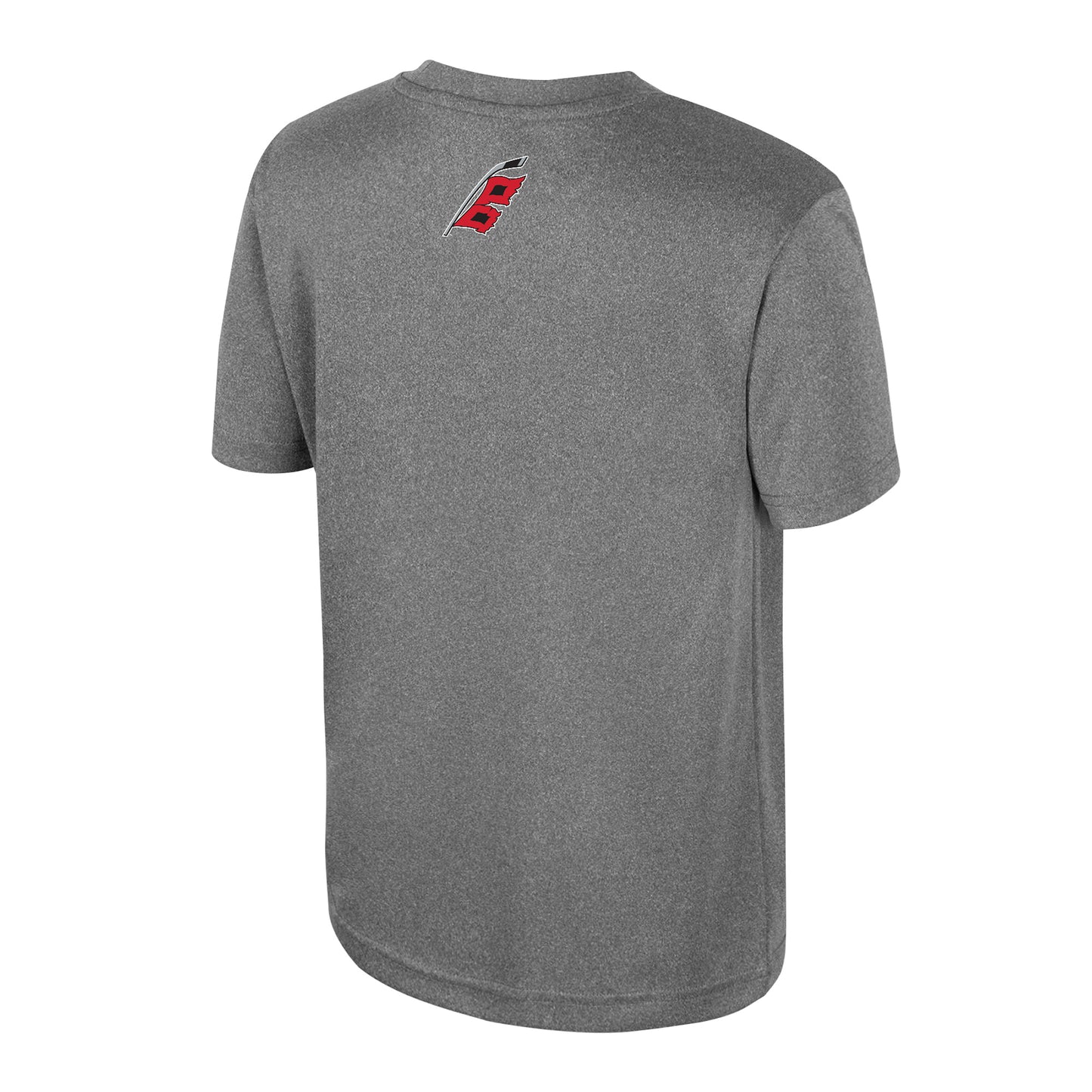 Back: Gray tee with Flags logo at neckline