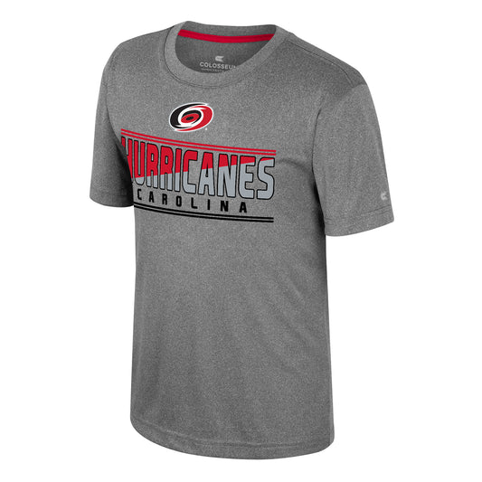 Front: Gray tee, "CAROLINA HURRICANES" in black, red, and gray with Primary logo on front