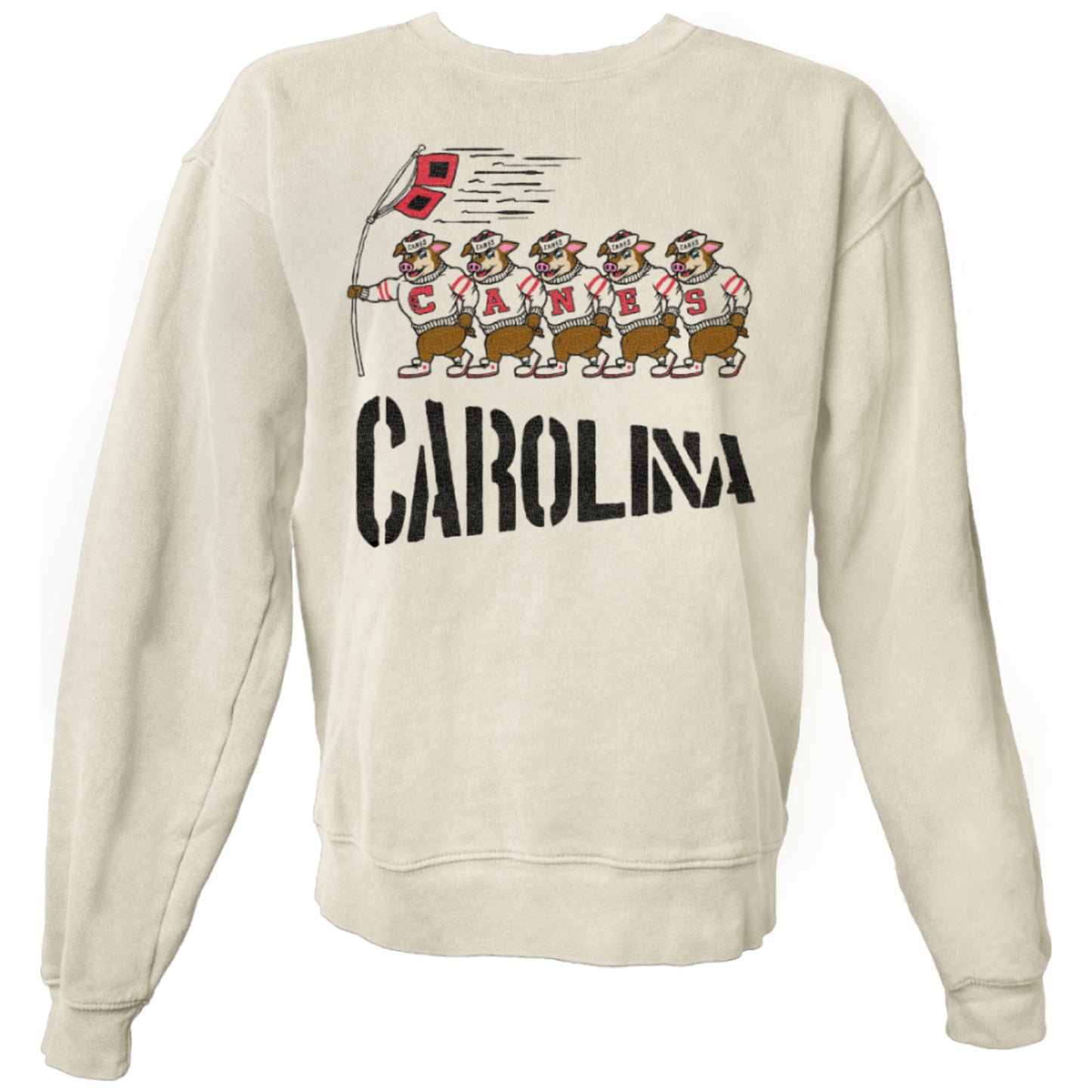Cream sweater, "CAROLINA" in black below art of 5 Vintage Stormy's, 1 holding Hurricanes flags