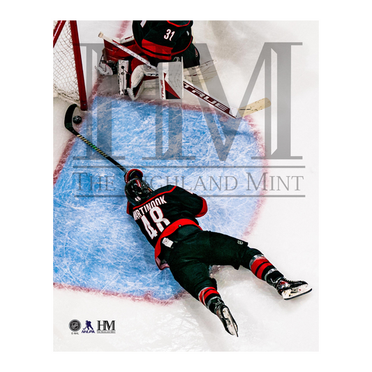 Highland Mint Martinook Goal Save Photo