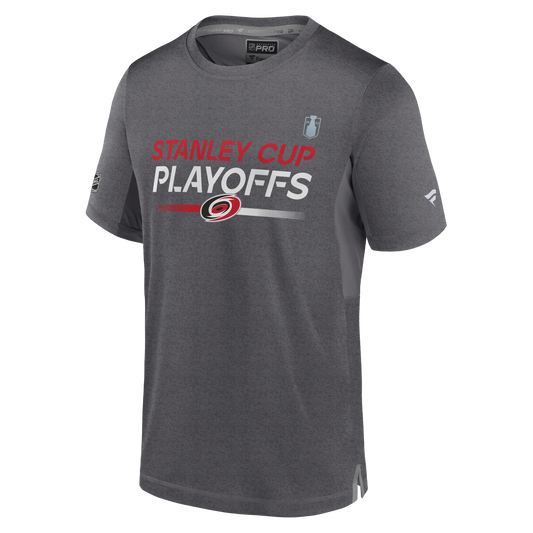 Front: Gray tee that says Stanley Cup Playoffs with Hurricanes and Playoff logos on front