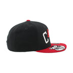 Right: Black/white Cartoon Stormy on right side of brim
