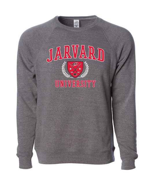 gray crewneck that says Jarvard University in red and black with crest in middle