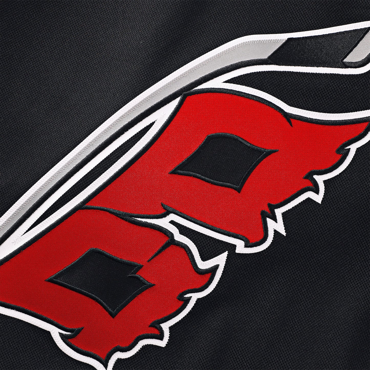 Close up of the Flags logo crest on the front