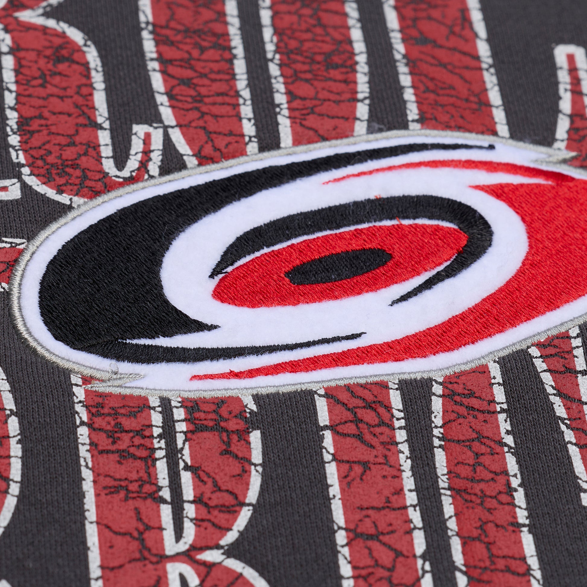 Close up on the detail of the Primary logo on the front artwork