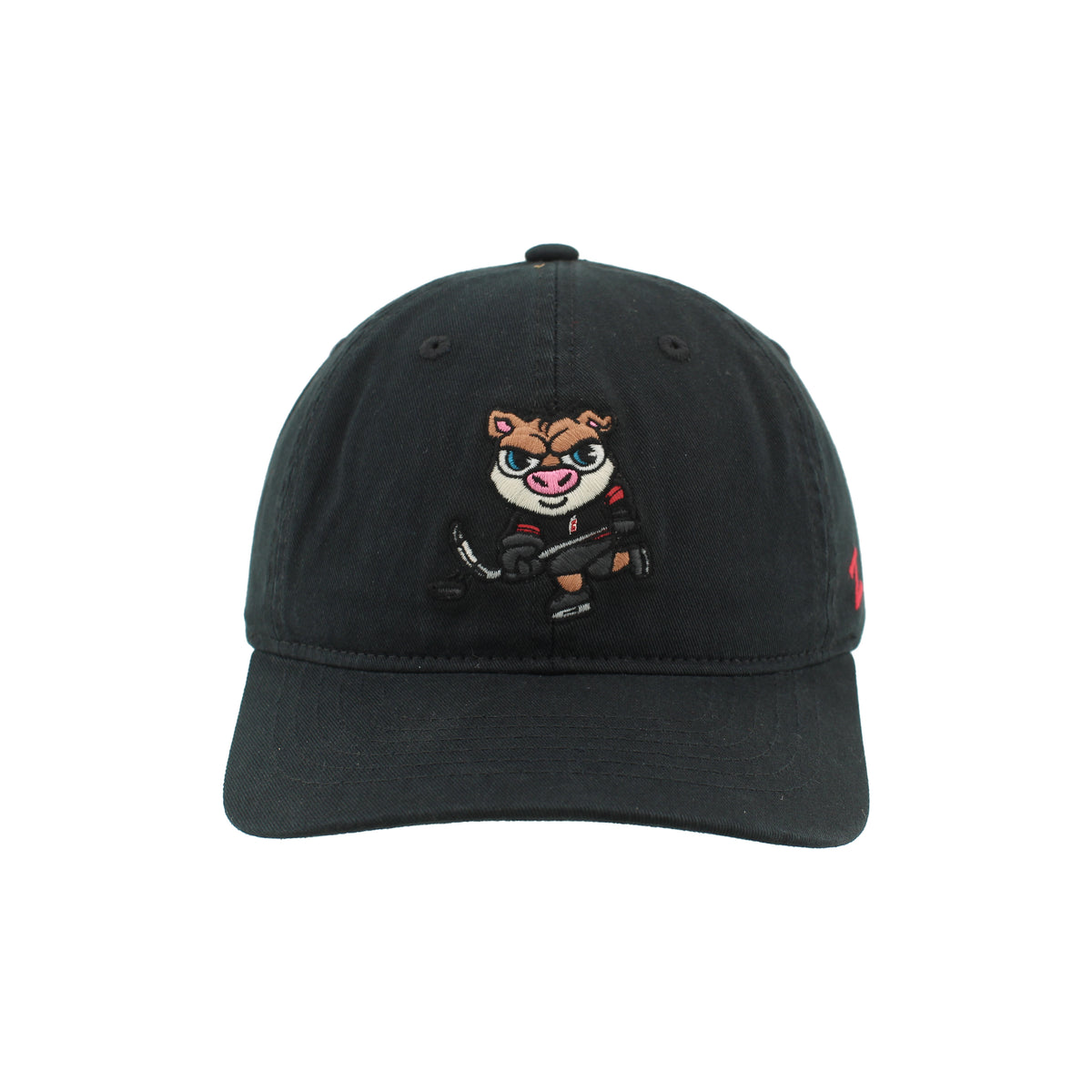 Front: Cartoon Stormy wearing Black Hurricanes jersey, ice skating with a hockey stick