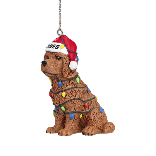 Front: Dog wrapped in holiday lights wearing Santa hat that says "CANES"