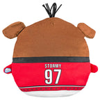 Back: "STORMY 97" on the back of Stormy's jersey
