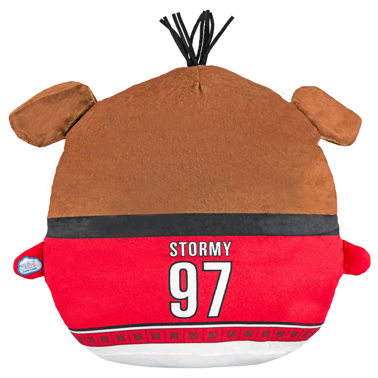 Back: "STORMY 97" on the back of Stormy's jersey