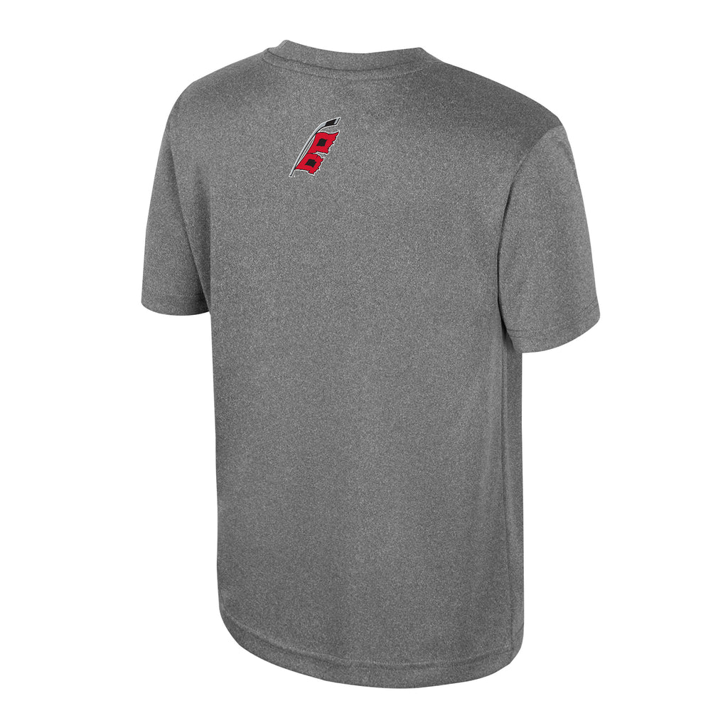 Back: Gray tee, Flags logo at neckline