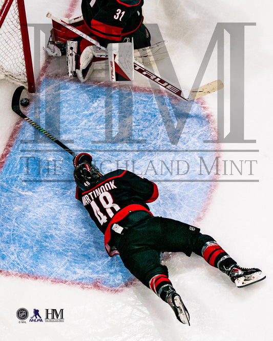 Highland Mint Martinook Goal Save Photo