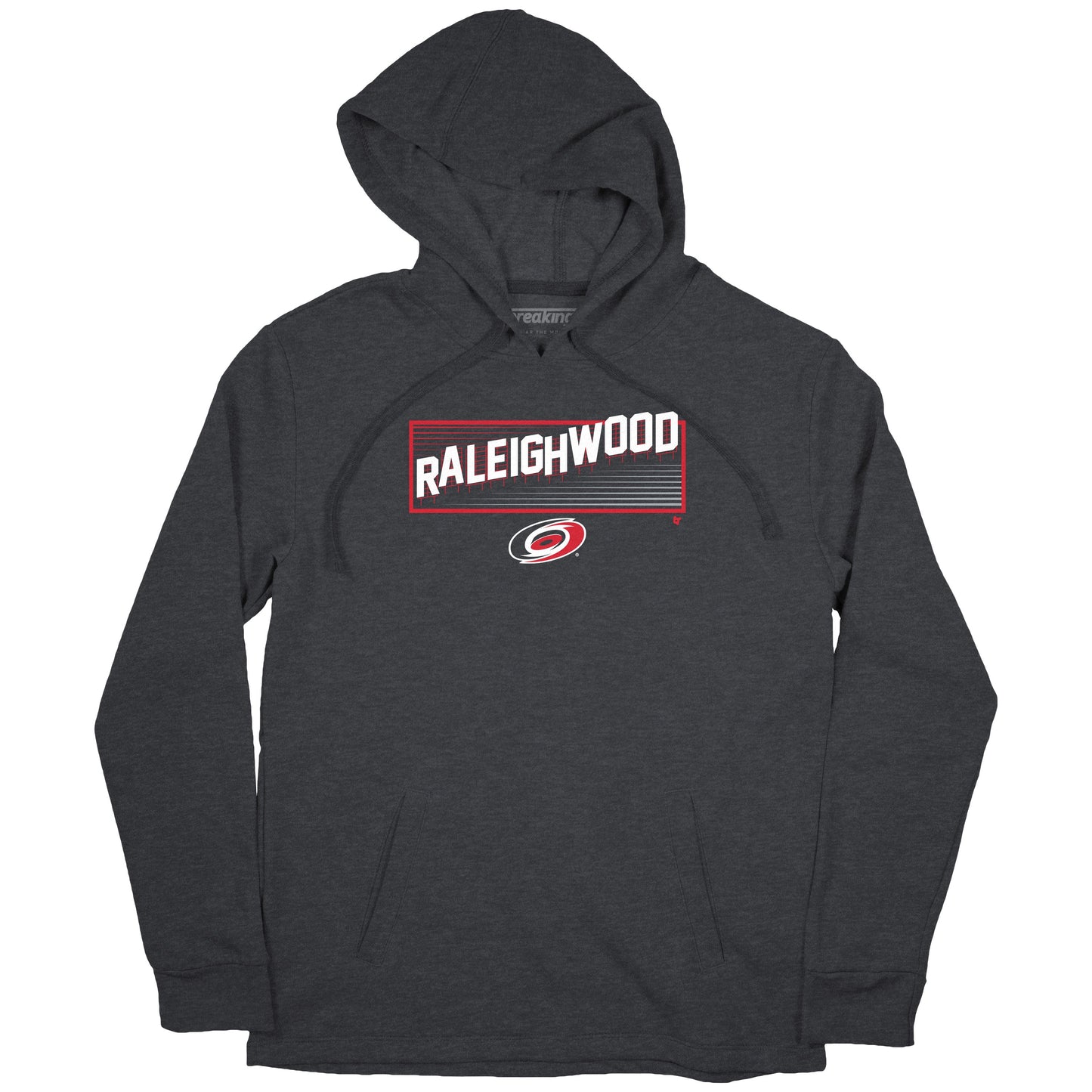 Gray hoodie with graphic of "Raleighwood" spelt out like the famous Hollywood sign