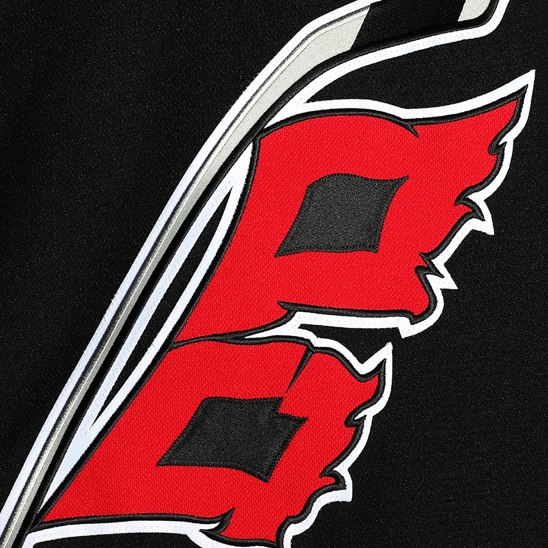 Close up of Hurricanes flag logo on front of jersey.